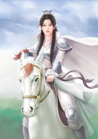 超王之纵横异世