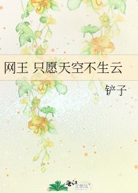 网王 只愿天空不生云