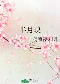 半月玦